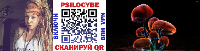 Псилоцибиновые грибы Cubensis  где купить   Александровск-Сахалинский 